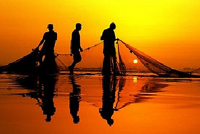 Proches… et si différents