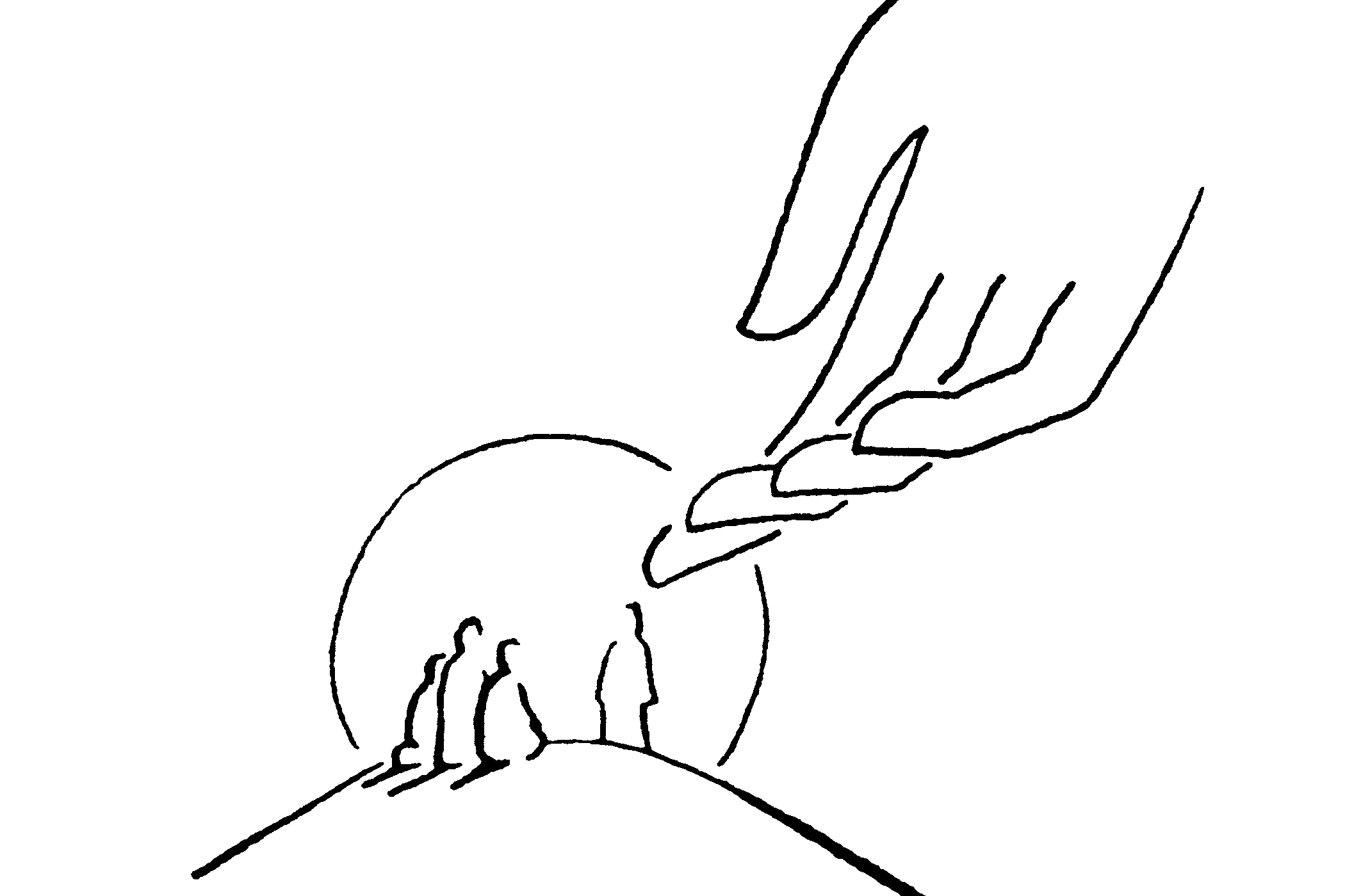 Un regard transformé